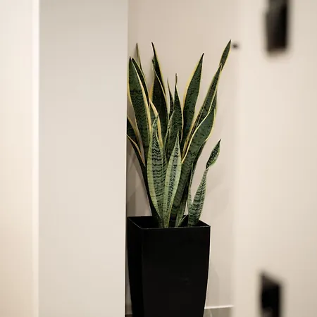 Elegance Lofts Apartament