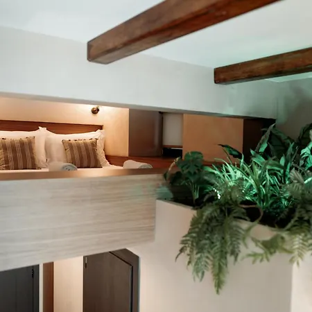 Elegance Lofts